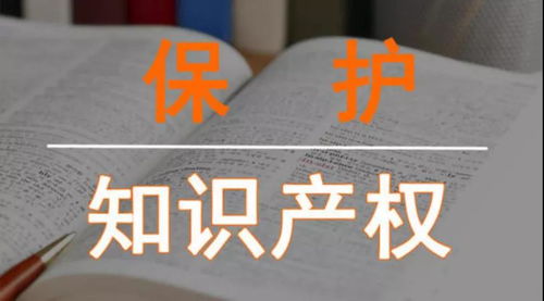 新兴品牌突围战 知识产权才是最后的 生死线 百货店 mall